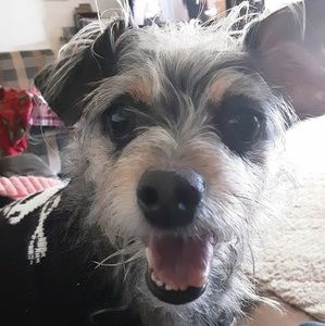 Meet your Posher, Penny